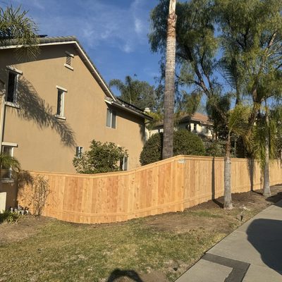 New cedar fence along a residential front yard with palm trees